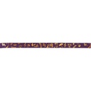 MAGICAL FOREST ribbon 15mm