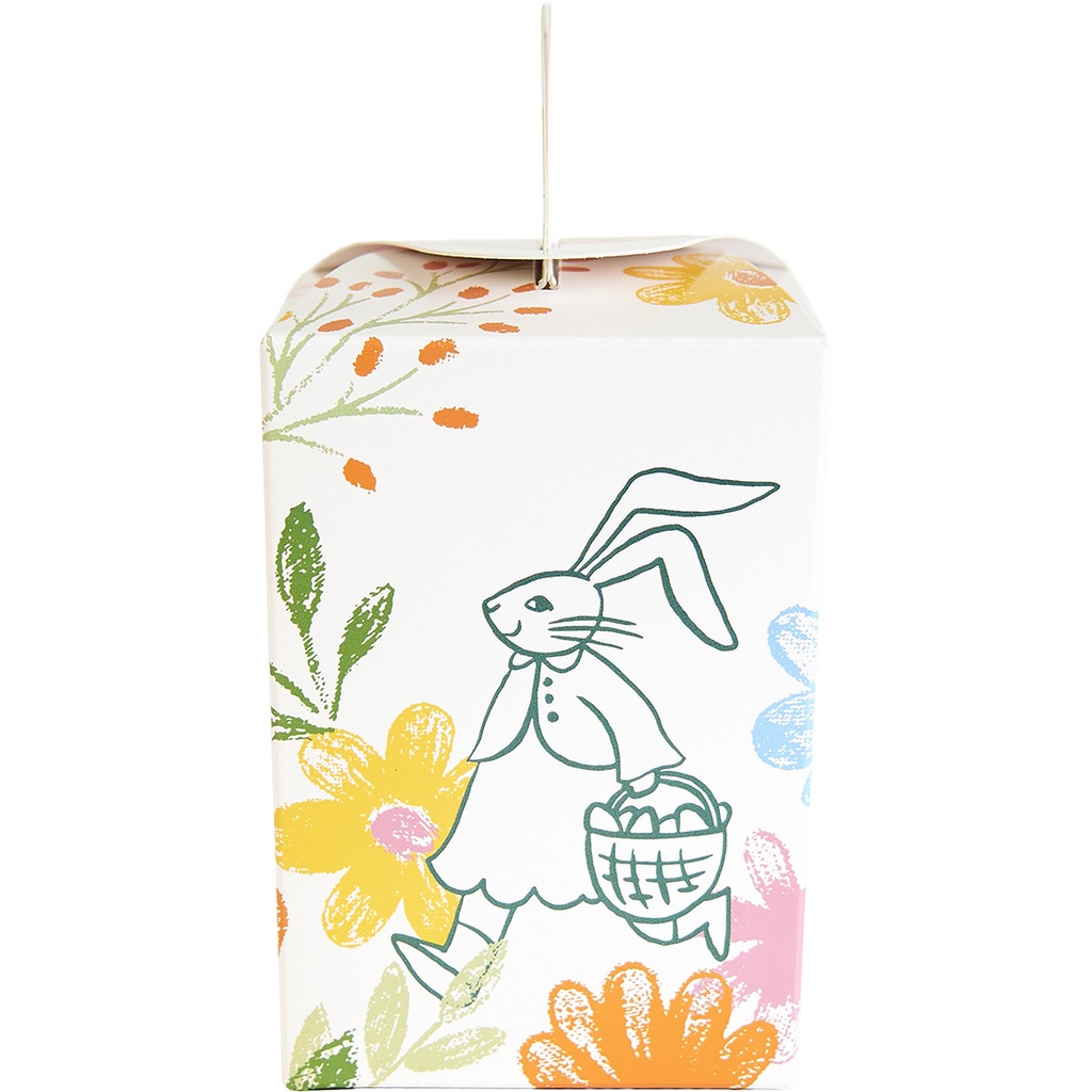 The Gentle Bunnies eggbox 11