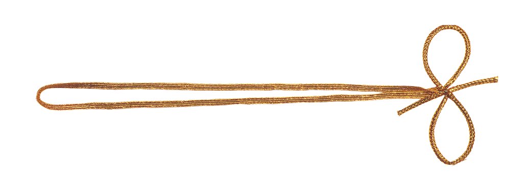 ELASTISCHE 2 Schlaufen 40