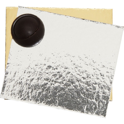 [3435*89*08*05***] GOLD/SILVER CARDBOARD for bag 08